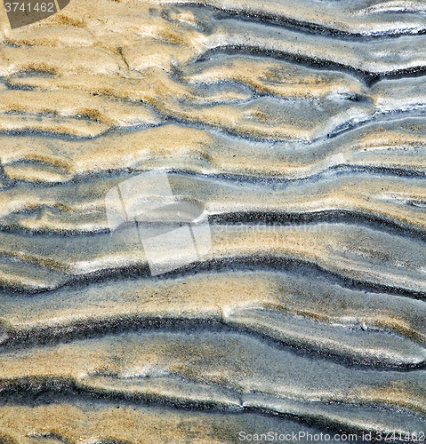 Image of   tao bay abstract of a  wet sand and the beach in  south china 