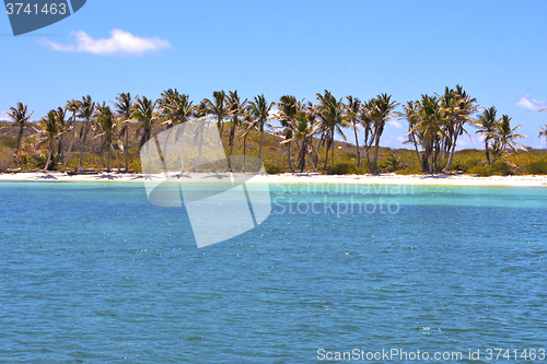 Image of isla contoy   in mexico day  wave