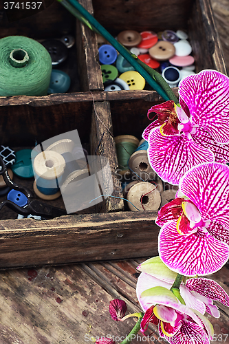 Image of Sewing supplies and Orchid