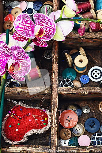 Image of Sewing supplies and Orchid