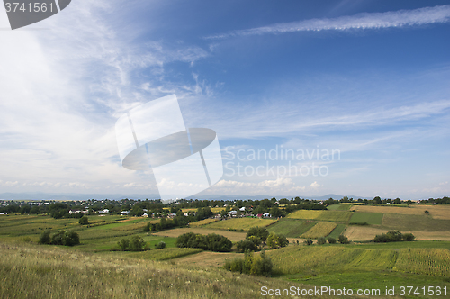 Image of Village on summer fields