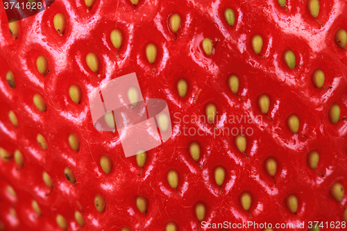 Image of red strawberry background