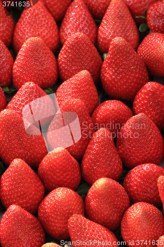 Image of fresh red currant background