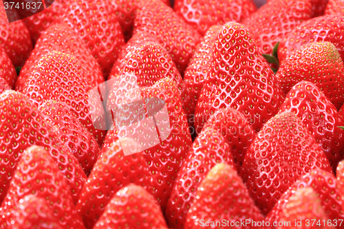 Image of fresh red currant background