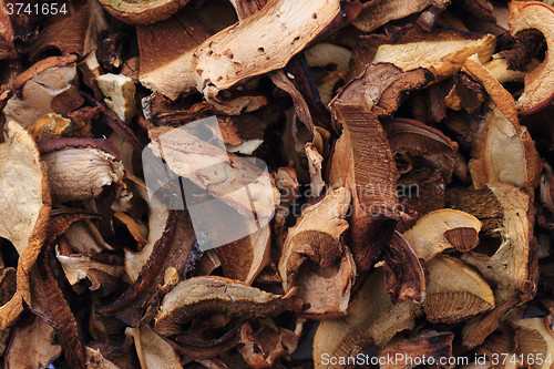 Image of dried edible mushrooms
