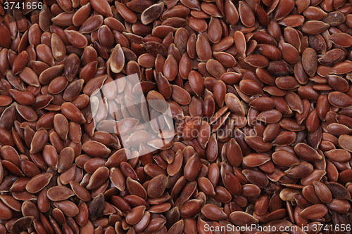 Image of flax seed texture