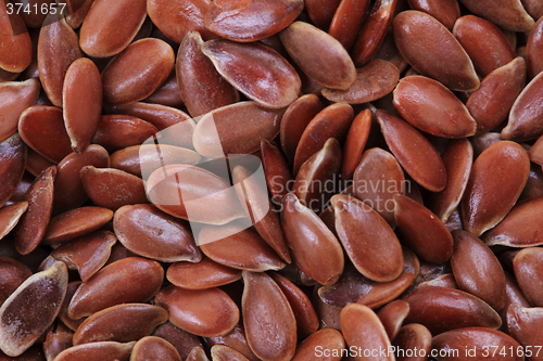 Image of flax seed texture