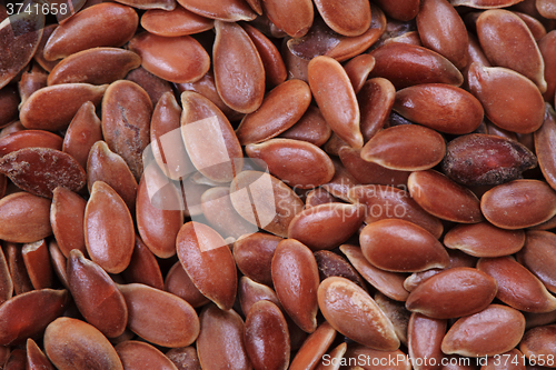 Image of flax seed texture