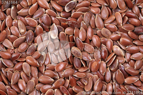 Image of flax seed texture