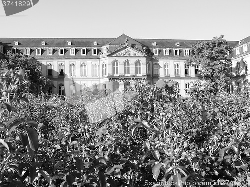 Image of Neues Schloss (New Castle), Stuttgart