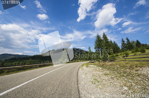 Image of Asphalt road in summer forest