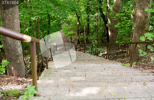 Image of close up of stair at summer forest or park