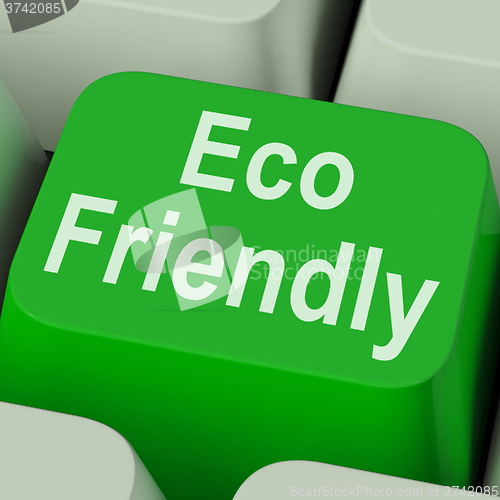 Image of Eco Friendly Key Shows Green And Environmentally Efficient