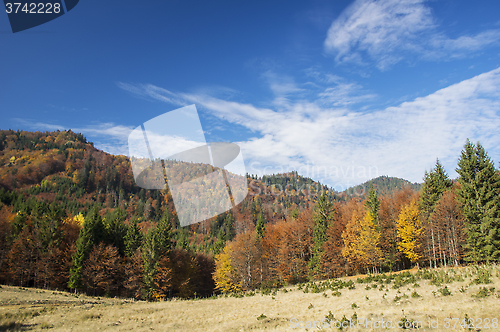 Image of Nature in autumn