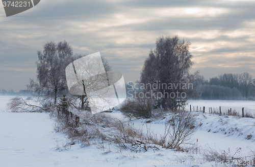 Image of Wintertime sunset over meadow