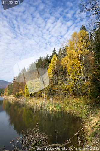 Image of Autumn tree mountain and lake