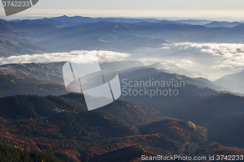 Image of Mountain valley and forest fog