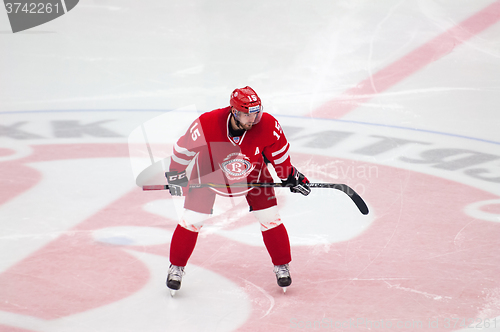 Image of Roman Horak (15) wait on face-off