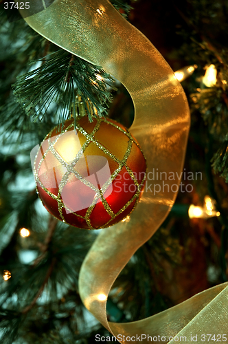 Image of Christmas Tree