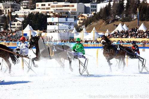 Image of Trotting Race in the snow