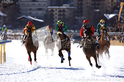 Image of Horse Race in the snow