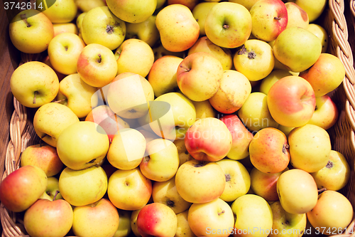 Image of ripe apples in basket at food market or farm