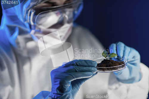 Image of close up of scientist with plant and soil in lab