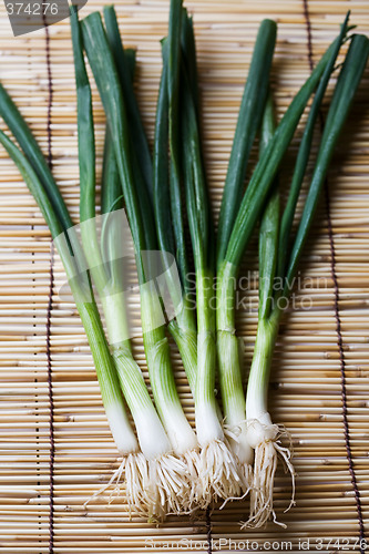 Image of Scallions