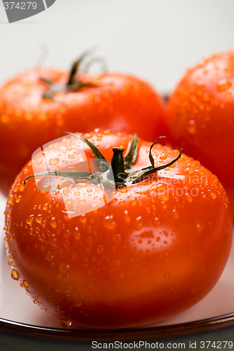 Image of Tomatoes