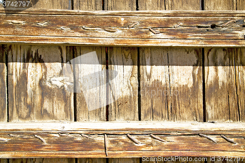 Image of metal nail   in the brown   red wood door  