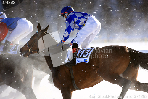 Image of Horse Race on the Snow