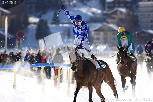 Image of Horse Race in the snow