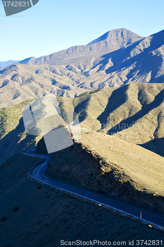 Image of in ground africa   bush  dry atlas mountain