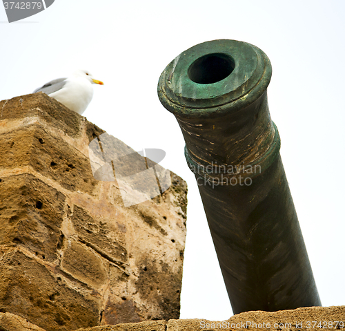 Image of in africa morocco  green bronze cannon and the blue sky