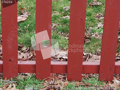 Image of Red Picket Fence Knothole