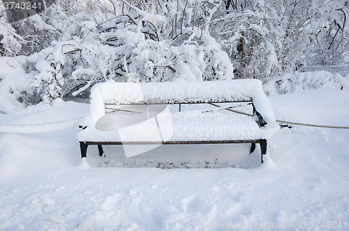 Image of one bench with snow on in the winter