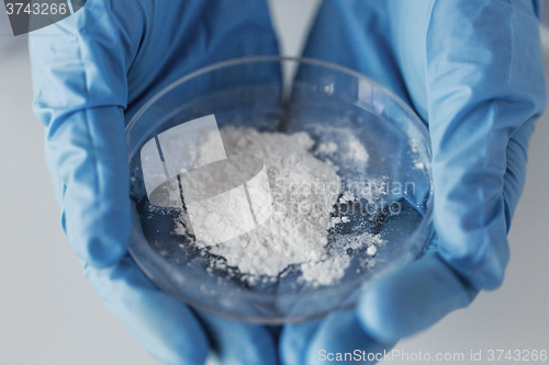 Image of close up of scientist holding petri dish in lab