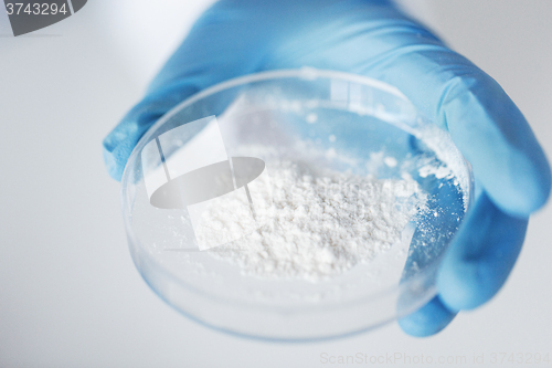 Image of close up of scientist holding petri dish in lab