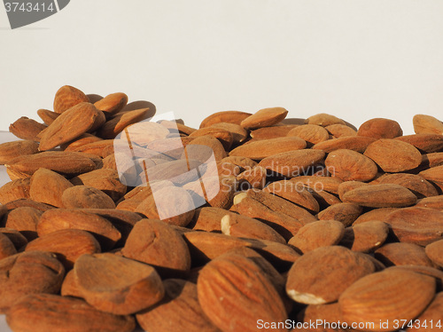 Image of Almonds dried fruit with copy space