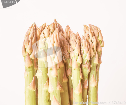 Image of Retro looking Asparagus vegetable