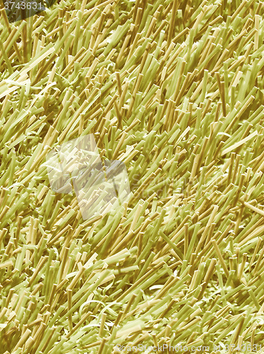 Image of  Artificial grass vintage
