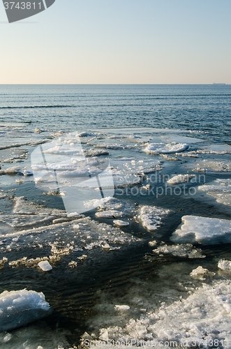 Image of Melting ice floe at the sea