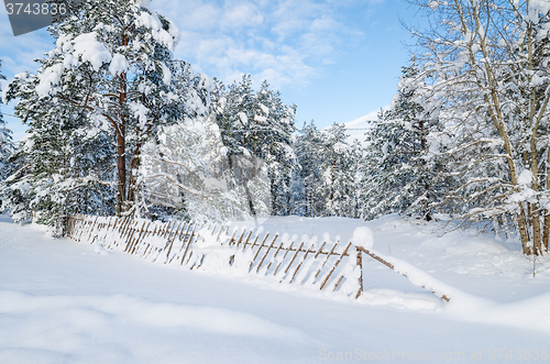 Image of Snow-covered fence in the countryside. Viitna, Estonia