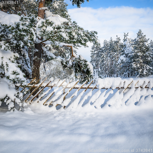 Image of Snow-covered fence in the countryside. Viitna, Estonia
