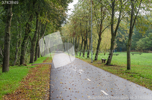 Image of Alley with fallen leaves in autumn park