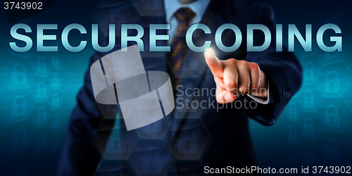 Image of Security Professional Touching SECURE CODING