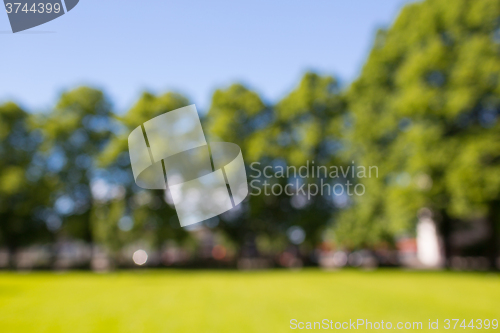 Image of blurred summer field, trees and blue sky bokeh