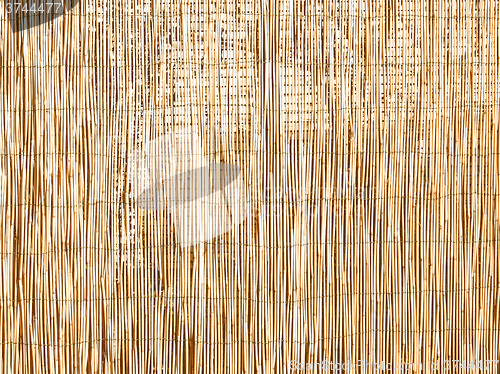 Image of  Bamboo background vintage