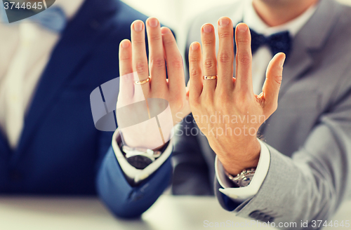 Image of close up of male gay couple with wedding rings on