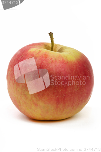 Image of fresh juicy red and yellow apple isolated